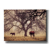 'Morning Calm II' by Debra Van Swearingen, Canvas Wall Art,16x12x1.1x0,26x18x1.1x0,34x26x1.74x0,54x40x1.74x0