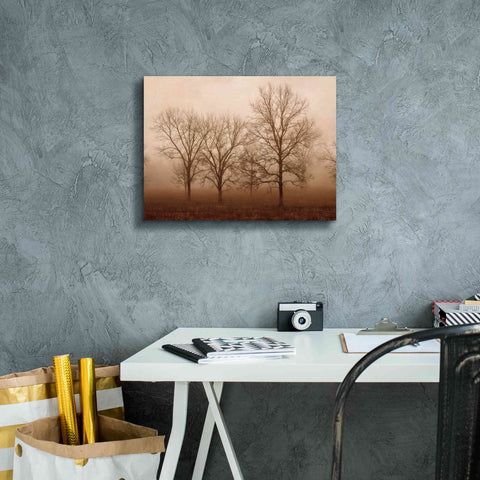Image of 'Morning Calm III' by Debra Van Swearingen, Canvas Wall Art,16 x 12
