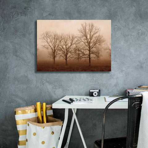 Image of 'Morning Calm III' by Debra Van Swearingen, Canvas Wall Art,26 x 18