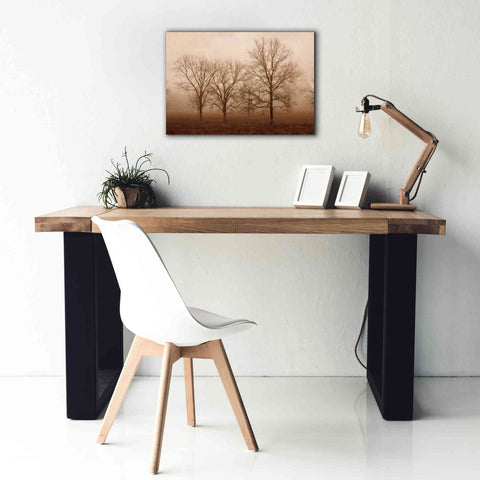 Image of 'Morning Calm III' by Debra Van Swearingen, Canvas Wall Art,26 x 18