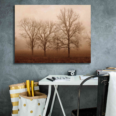 Image of 'Morning Calm III' by Debra Van Swearingen, Canvas Wall Art,34 x 26