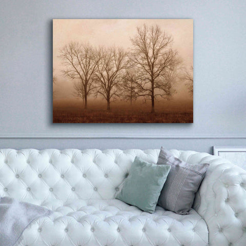 Image of 'Morning Calm III' by Debra Van Swearingen, Canvas Wall Art,54 x 40