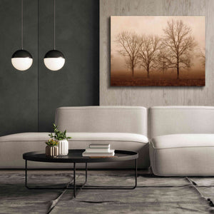 'Morning Calm III' by Debra Van Swearingen, Canvas Wall Art,54 x 40
