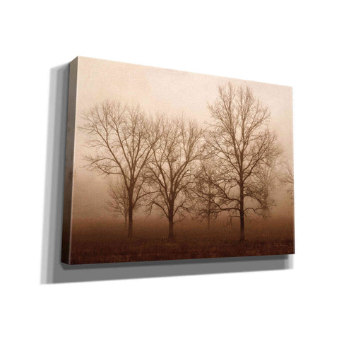 Image of 'Morning Calm III' by Debra Van Swearingen, Canvas Wall Art,16x12x1.1x0,26x18x1.1x0,34x26x1.74x0,54x40x1.74x0