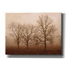 'Morning Calm III' by Debra Van Swearingen, Canvas Wall Art,16x12x1.1x0,26x18x1.1x0,34x26x1.74x0,54x40x1.74x0