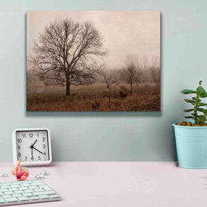 'Morning Calm IV' by Debra Van Swearingen, Canvas Wall Art,16 x 12