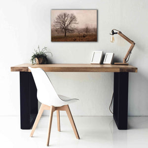 'Morning Calm IV' by Debra Van Swearingen, Canvas Wall Art,26 x 18