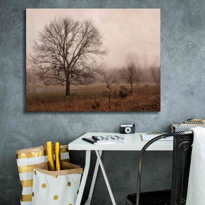 'Morning Calm IV' by Debra Van Swearingen, Canvas Wall Art,34 x 26