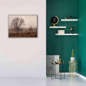 'Morning Calm IV' by Debra Van Swearingen, Canvas Wall Art,34 x 26
