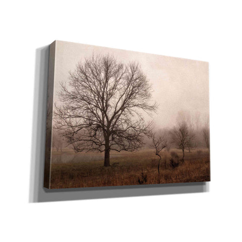 Image of 'Morning Calm IV' by Debra Van Swearingen, Canvas Wall Art,16x12x1.1x0,26x18x1.1x0,34x26x1.74x0,54x40x1.74x0