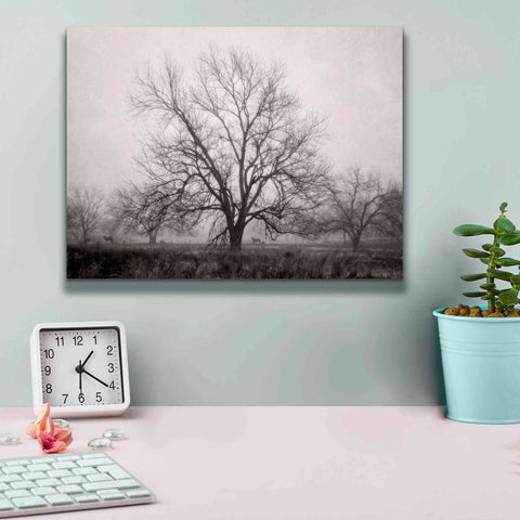 Image of 'Morning Calm I BW' by Debra Van Swearingen, Canvas Wall Art,16 x 12