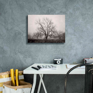 'Morning Calm I BW' by Debra Van Swearingen, Canvas Wall Art,16 x 12
