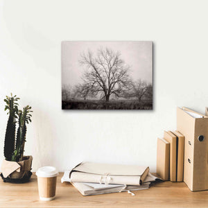 'Morning Calm I BW' by Debra Van Swearingen, Canvas Wall Art,16 x 12
