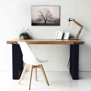 'Morning Calm I BW' by Debra Van Swearingen, Canvas Wall Art,26 x 18
