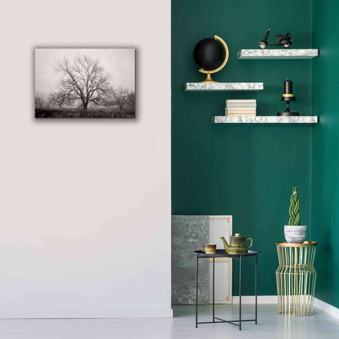 Image of 'Morning Calm I BW' by Debra Van Swearingen, Canvas Wall Art,26 x 18