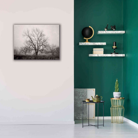 Image of 'Morning Calm I BW' by Debra Van Swearingen, Canvas Wall Art,34 x 26