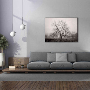 'Morning Calm I BW' by Debra Van Swearingen, Canvas Wall Art,54 x 40