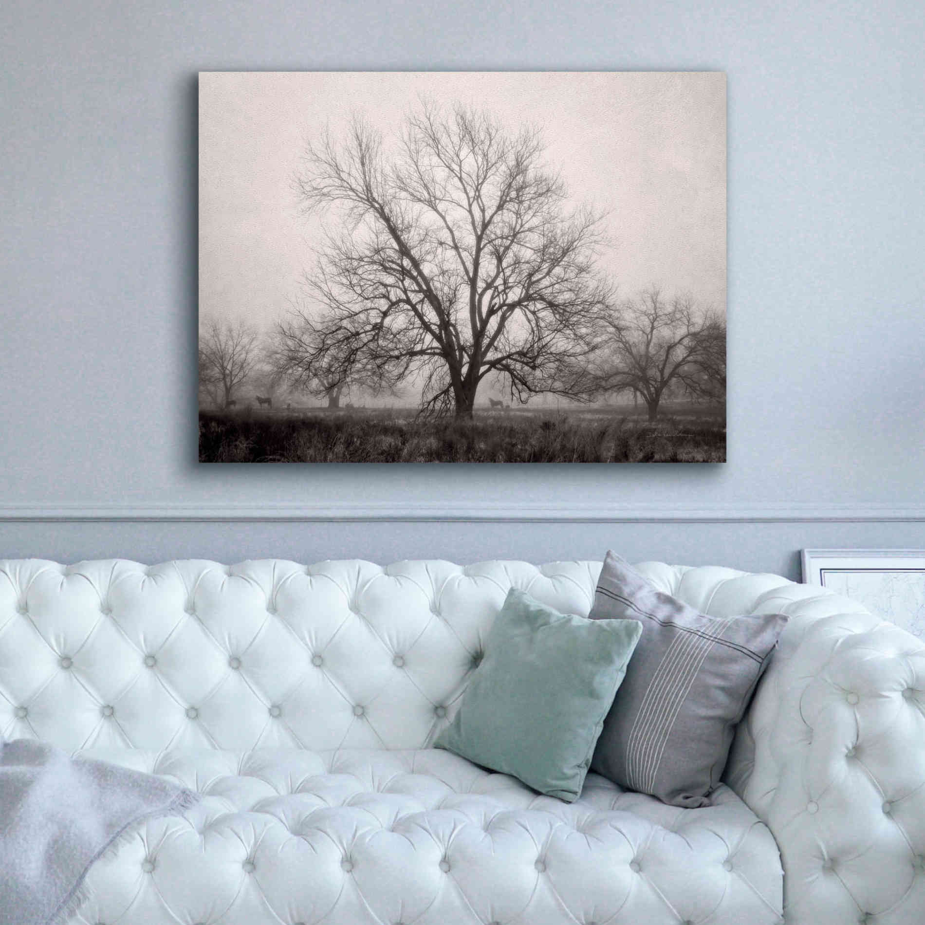 'Morning Calm I BW' by Debra Van Swearingen, Canvas Wall Art,54 x 40