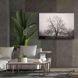 'Morning Calm I BW' by Debra Van Swearingen, Canvas Wall Art,54 x 40