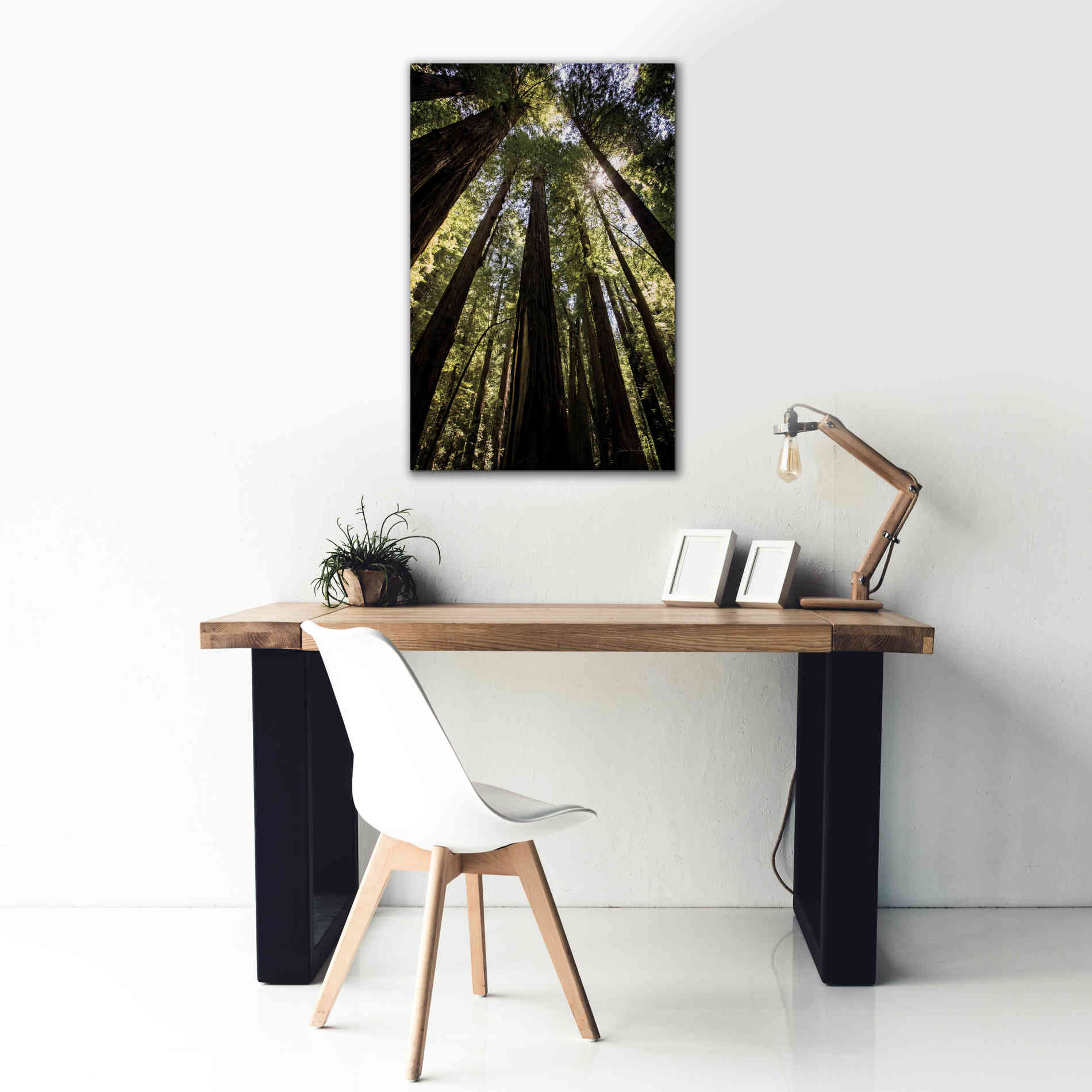 'The Stand' by Debra Van Swearingen, Canvas Wall Art,26 x 40