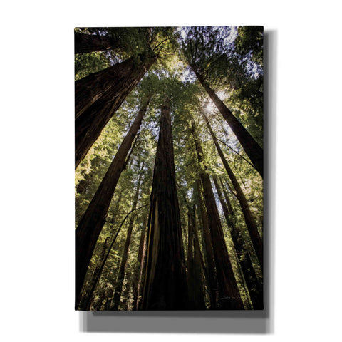 Image of 'The Stand' by Debra Van Swearingen, Canvas Wall Art,12x18x1.1x0,18x26x1.1x0,26x40x1.74x0,40x60x1.74x0