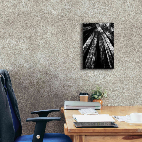 Image of 'The Stand BW' by Debra Van Swearingen, Canvas Wall Art,12 x 18