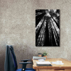 'The Stand BW' by Debra Van Swearingen, Canvas Wall Art,26 x 40