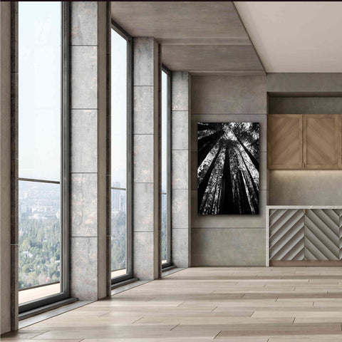 Image of 'The Stand BW' by Debra Van Swearingen, Canvas Wall Art,40 x 60