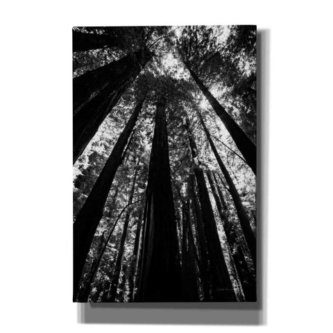 Image of 'The Stand BW' by Debra Van Swearingen, Canvas Wall Art,12x18x1.1x0,18x26x1.1x0,26x40x1.74x0,40x60x1.74x0