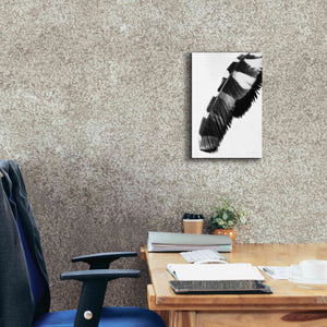 'Feather Shadow II White' by Debra Van Swearingen, Canvas Wall Art,12 x 18
