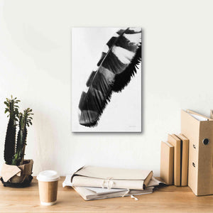 'Feather Shadow II White' by Debra Van Swearingen, Canvas Wall Art,12 x 18