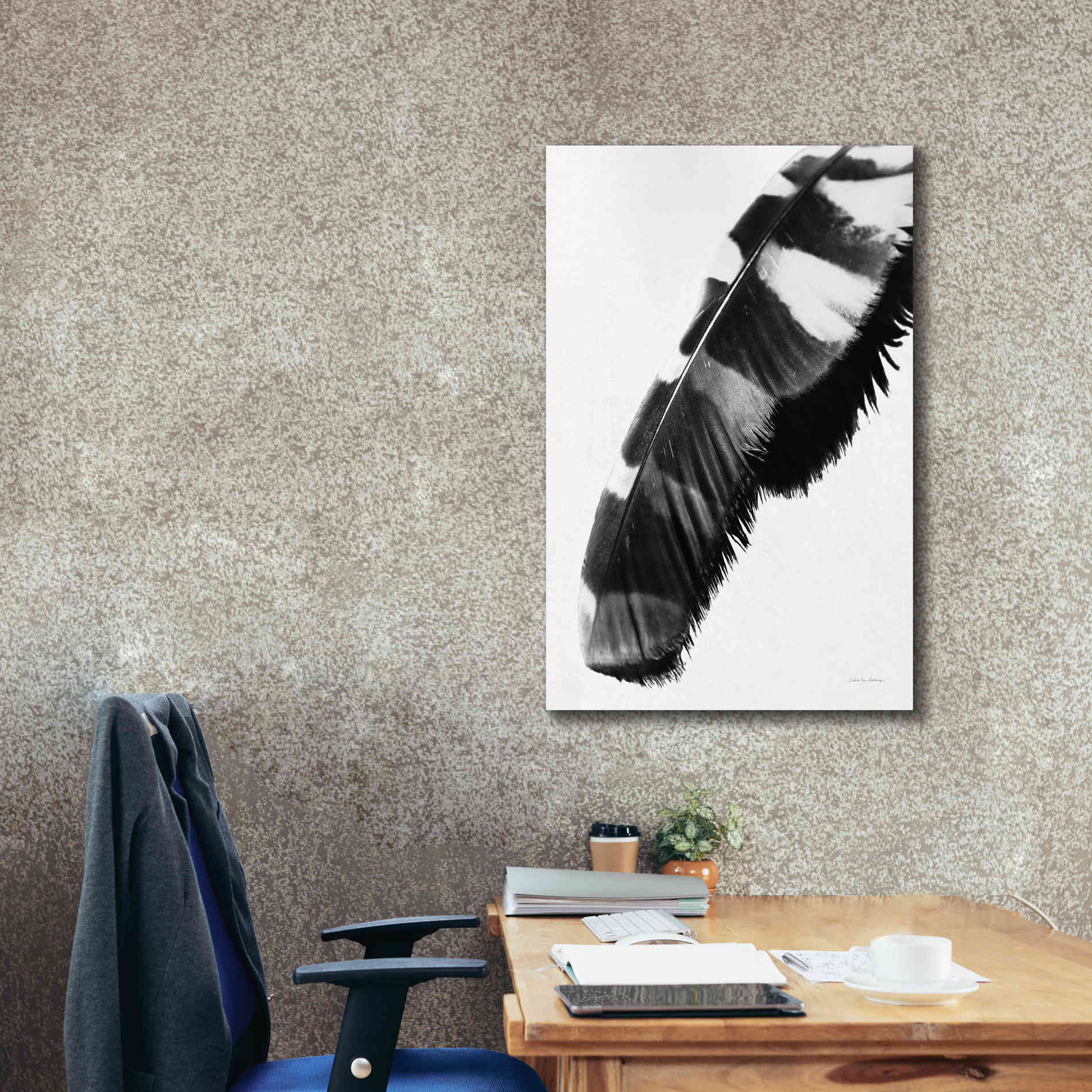 'Feather Shadow II White' by Debra Van Swearingen, Canvas Wall Art,26 x 40