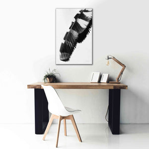 'Feather Shadow II White' by Debra Van Swearingen, Canvas Wall Art,26 x 40