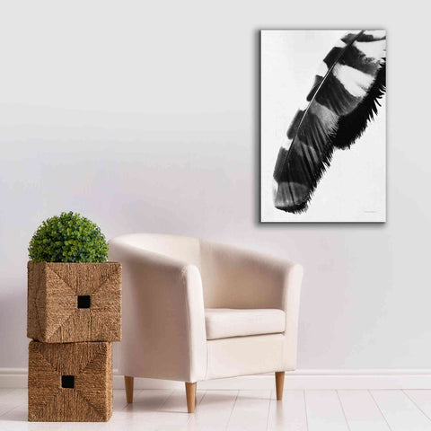 Image of 'Feather Shadow II White' by Debra Van Swearingen, Canvas Wall Art,26 x 40