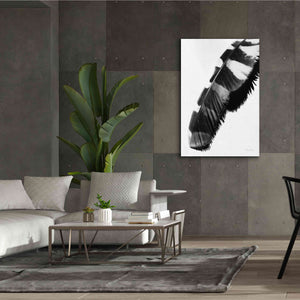 'Feather Shadow II White' by Debra Van Swearingen, Canvas Wall Art,40 x 60