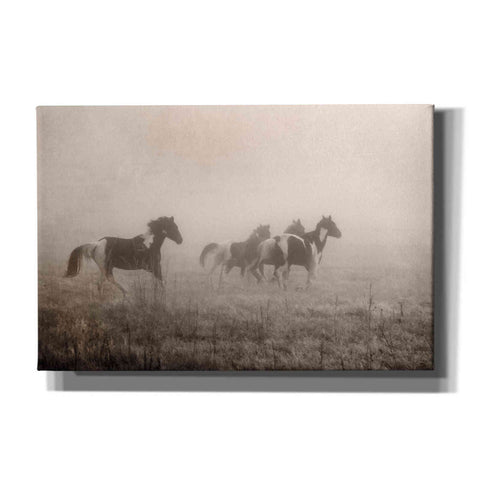 Image of 'Painted Horses on the Run' by Debra Van Swearingen, Canvas Wall Art,18x12x1.1x0,26x18x1.1x0,40x26x1.74x0,60x40x1.74x0