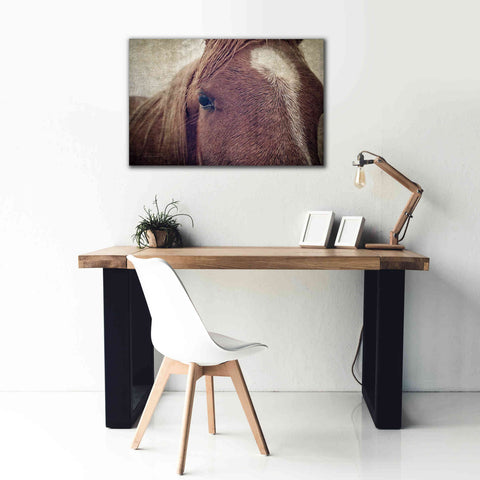 Image of 'Dew Lashes' by Debra Van Swearingen, Canvas Wall Art,40 x 26