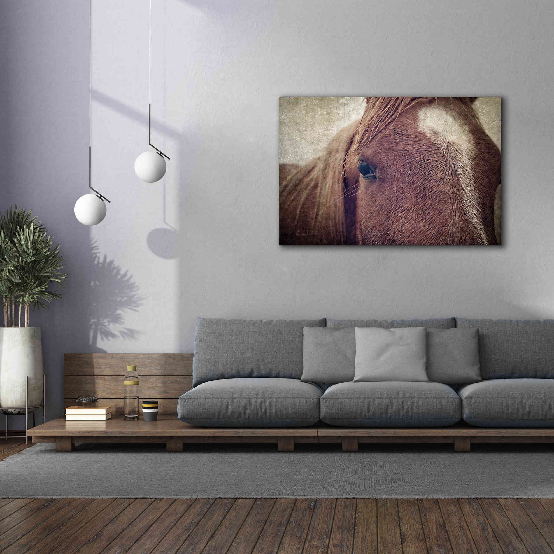 'Dew Lashes' by Debra Van Swearingen, Canvas Wall Art,60 x 40