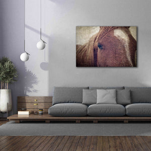'Dew Lashes' by Debra Van Swearingen, Canvas Wall Art,60 x 40
