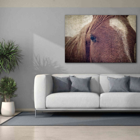 Image of 'Dew Lashes' by Debra Van Swearingen, Canvas Wall Art,60 x 40