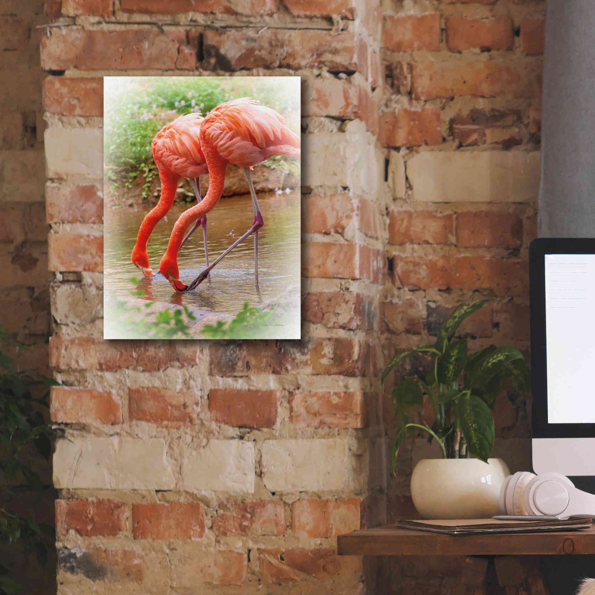 'Two Flamingos' by Debra Van Swearingen, Canvas Wall Art,12 x 16