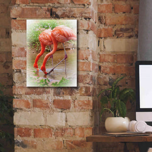 'Two Flamingos' by Debra Van Swearingen, Canvas Wall Art,12 x 16