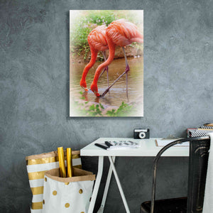 'Two Flamingos' by Debra Van Swearingen, Canvas Wall Art,18 x 26