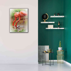 'Two Flamingos' by Debra Van Swearingen, Canvas Wall Art,26 x 34