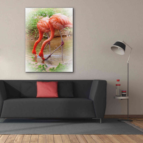 Image of 'Two Flamingos' by Debra Van Swearingen, Canvas Wall Art,40 x 54