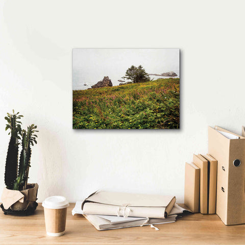 Image of 'Oregon Coast' by Debra Van Swearingen, Canvas Wall Art,16 x 12
