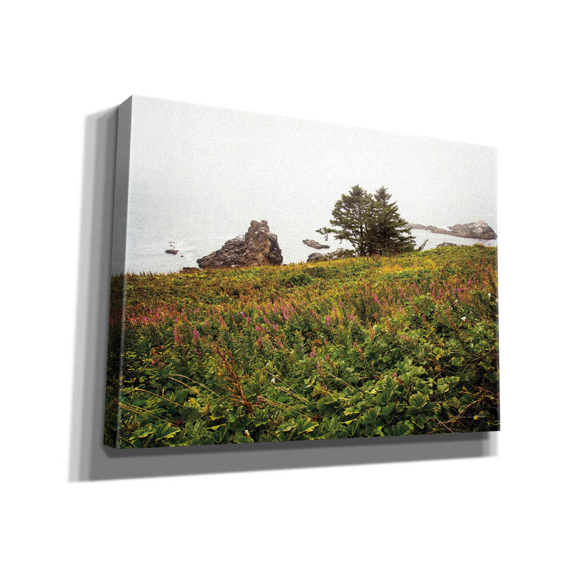'Oregon Coast' by Debra Van Swearingen, Canvas Wall Art,16x12x1.1x0,26x18x1.1x0,34x26x1.74x0,54x40x1.74x0