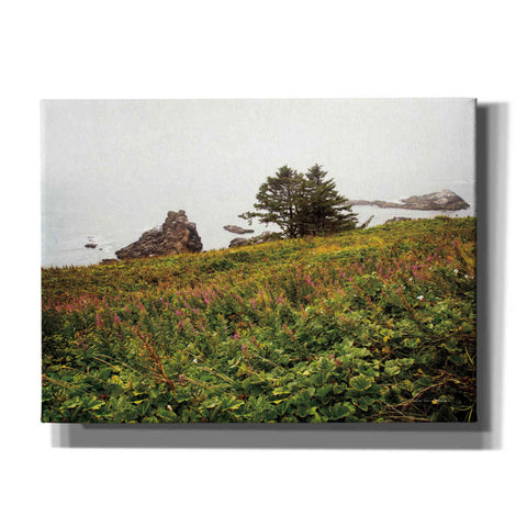 Image of 'Oregon Coast' by Debra Van Swearingen, Canvas Wall Art,16x12x1.1x0,26x18x1.1x0,34x26x1.74x0,54x40x1.74x0