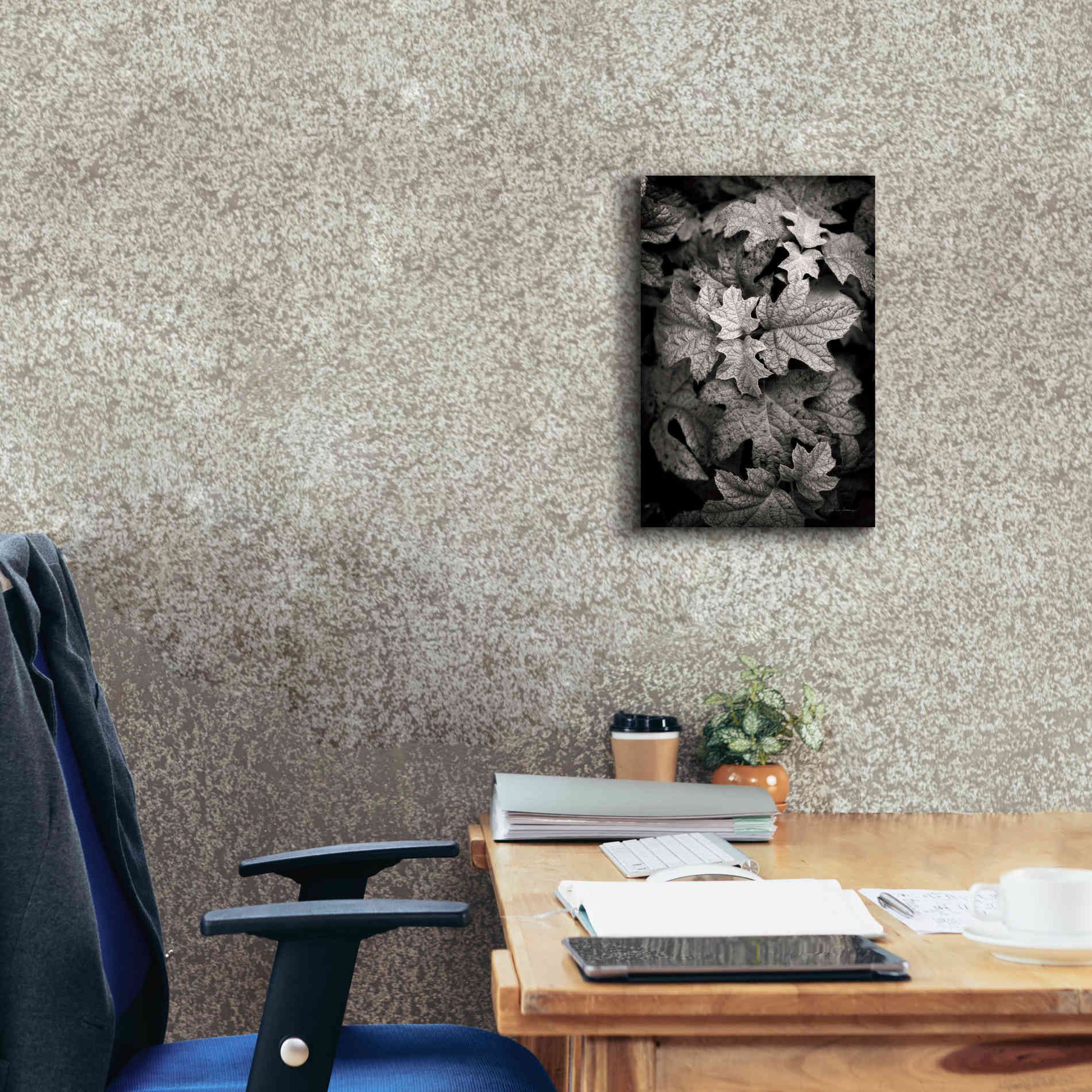 'Hydrangea Leaves in Black and White' by Debra Van Swearingen, Canvas Wall Art,12 x 18