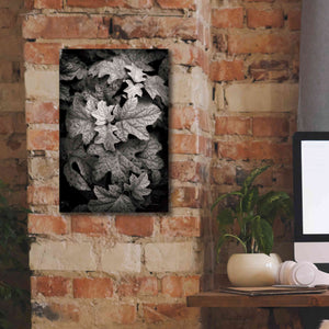 'Hydrangea Leaves in Black and White' by Debra Van Swearingen, Canvas Wall Art,12 x 18